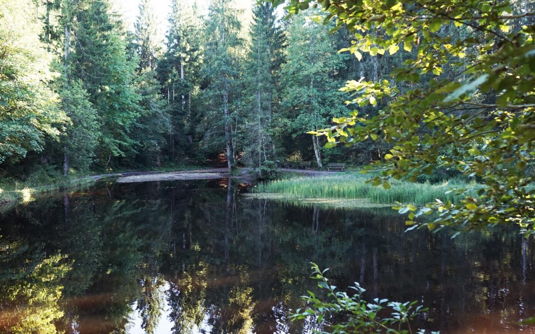 Was tun nach einem Burnout? | Rückfall vermeiden & stabil bleiben