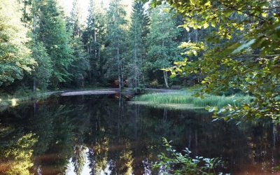 Was tun nach einem Burnout? | Rückfall vermeiden & stabil bleiben