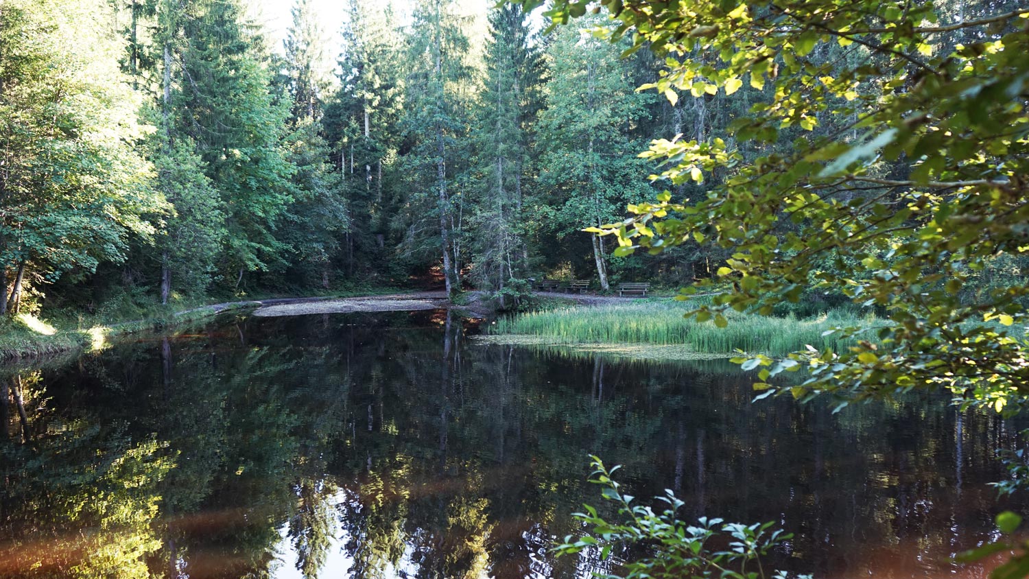 Natur Natursee in den Bergen