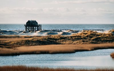 Wie hoch ist die Rückfallquote bei Burnout?