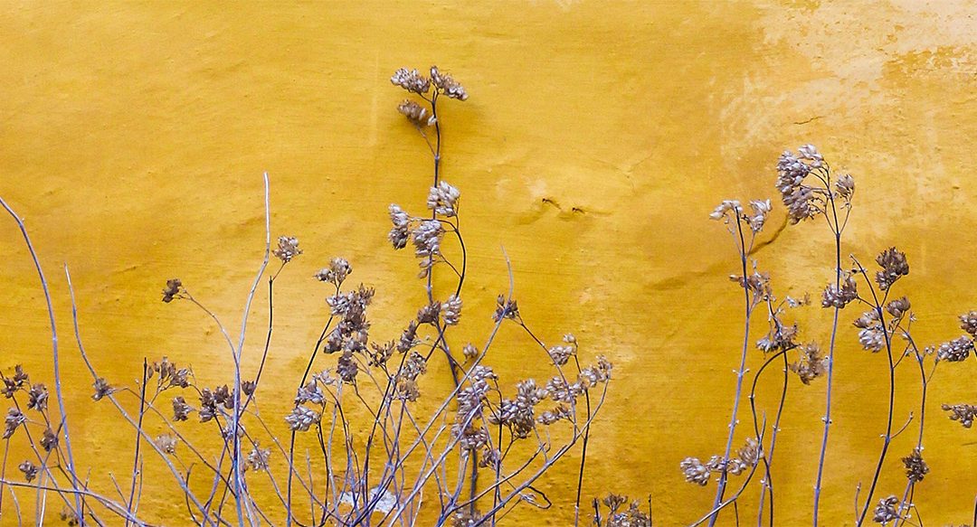 Burnout Coaching Hilfe – Warum ein Rückfall teurer ist als unser Programm