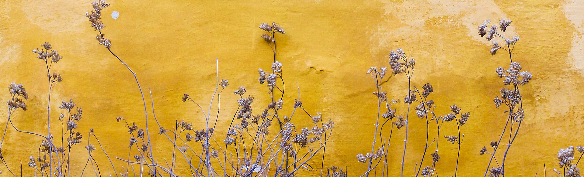 mona-eendra-vC8wj_Kphak-crop