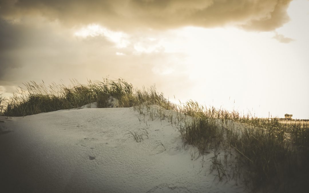 Burnout verstehen: Die 12 Phasen und wie du rechtzeitig gegensteuerst 