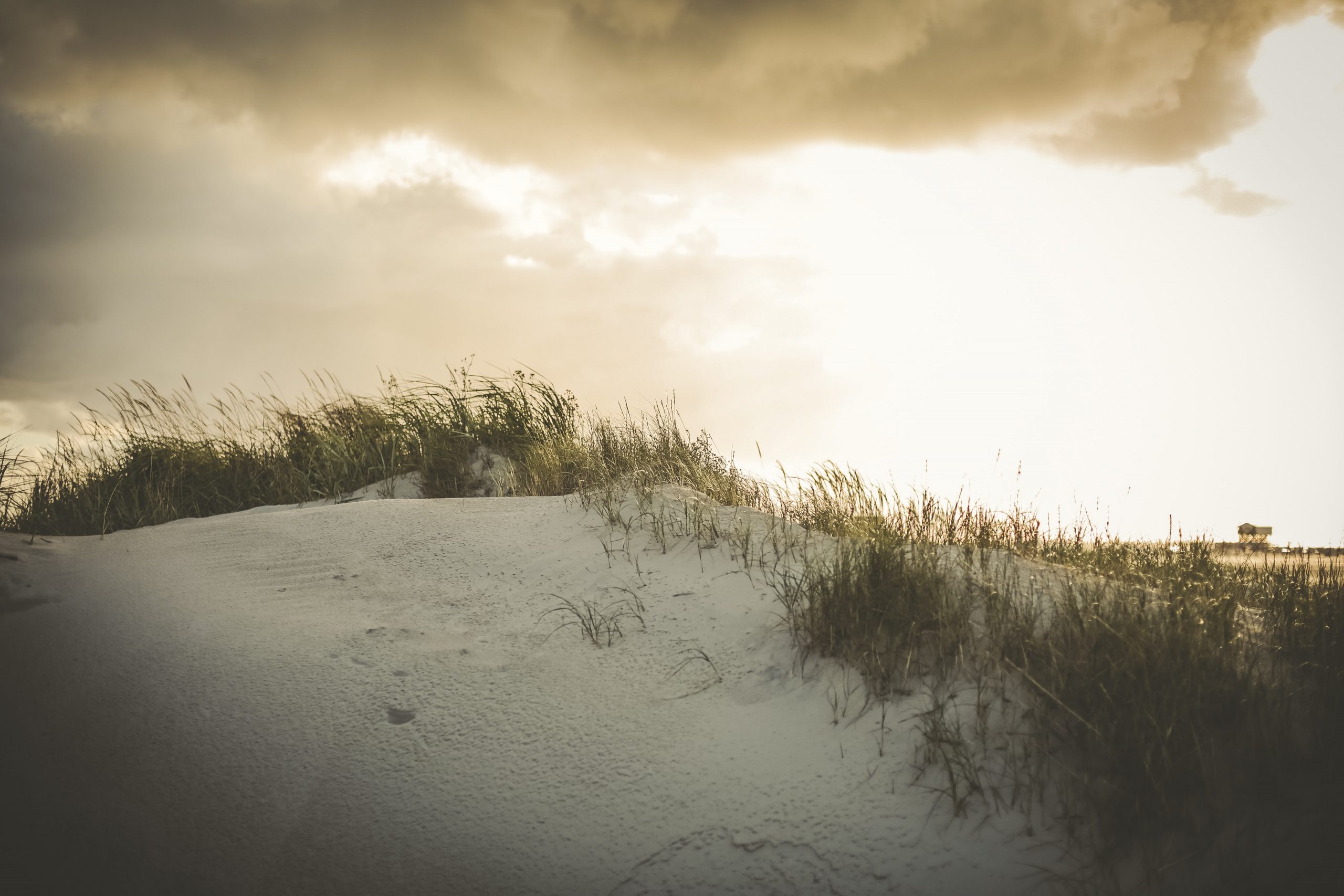 nine-koepfer-gRYC6eI-yNI-unsplash